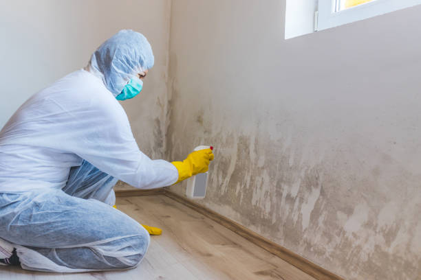 Licensed Mold Remediation service in Keller, TX - WQB Mold Removal