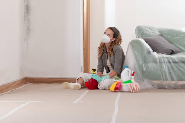Reliable Mold Remediation contractor in Keller, TX by WQB Mold Removal
